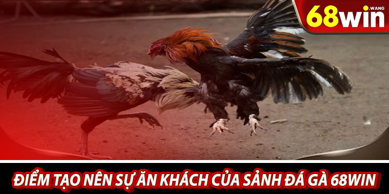 Điểm tạo nên sự ăn khách của sảnh đá gà 68win