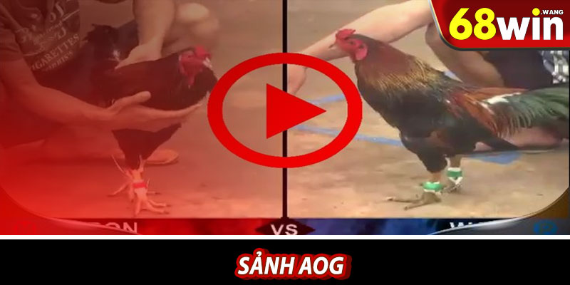 Sảnh AOG