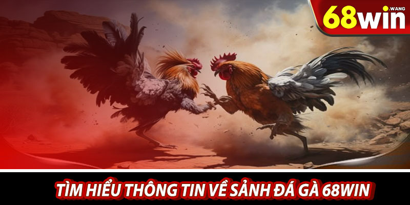 Tìm hiểu thông tin về sảnh đá gà 68win